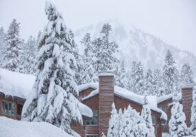 Snow-covered trees and condos in the foreground and a cloudy Lincoln Mountain in the background